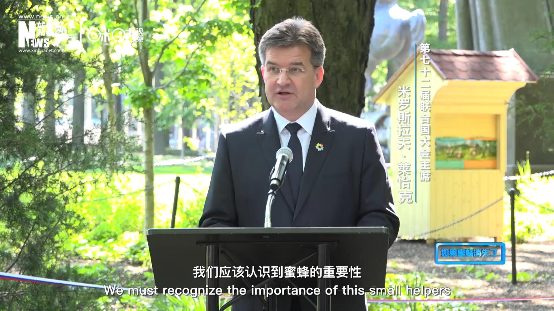 我們應該認識到蜜蜂的重要性，所以我們用“世界蜜蜂日”提高大家保護蜜蜂的意識，并且用實際行動去保護蜜蜂