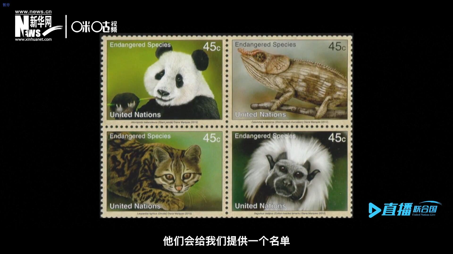 CITES（瀕危野生動(dòng)植物種國(guó)際貿(mào)易公約）會(huì)給聯(lián)合國(guó)郵政設(shè)計(jì)師提供一個(gè)名單，雙方共同合作在附錄中找到名單中應(yīng)該受到關(guān)注的動(dòng)物。
