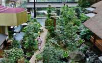 震撼！日本最豪華的廁所（組圖）
